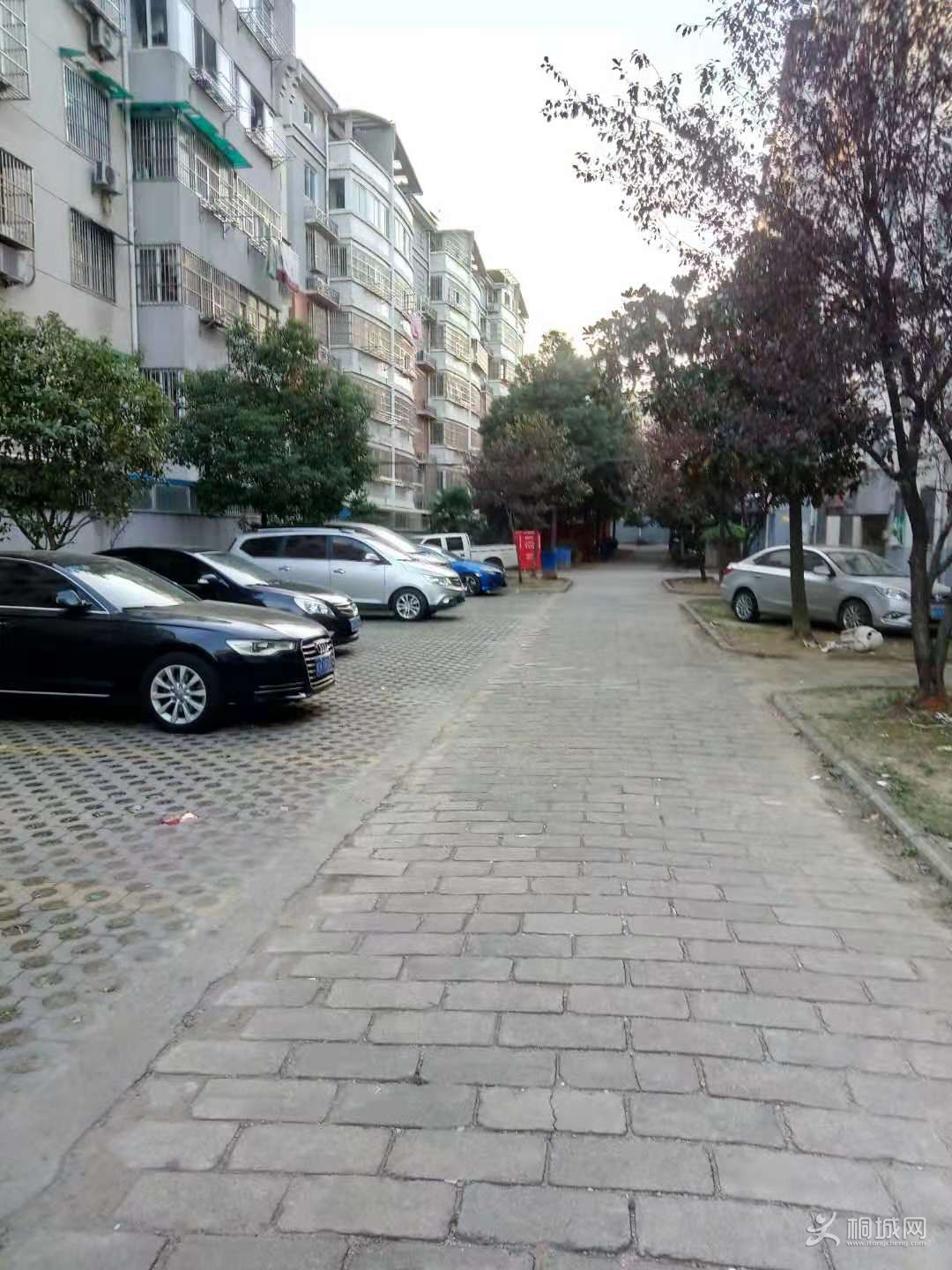 ΢��ͼƬ_20190303144228.jpg