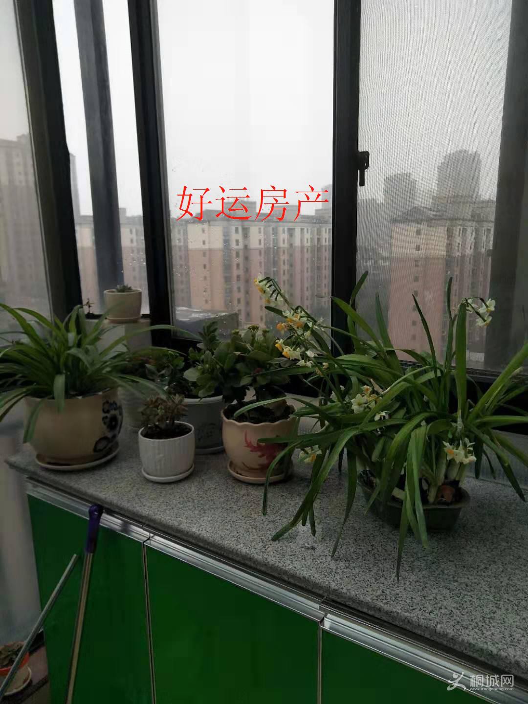 ΢��ͼƬ�༭_20190303100041.jpg