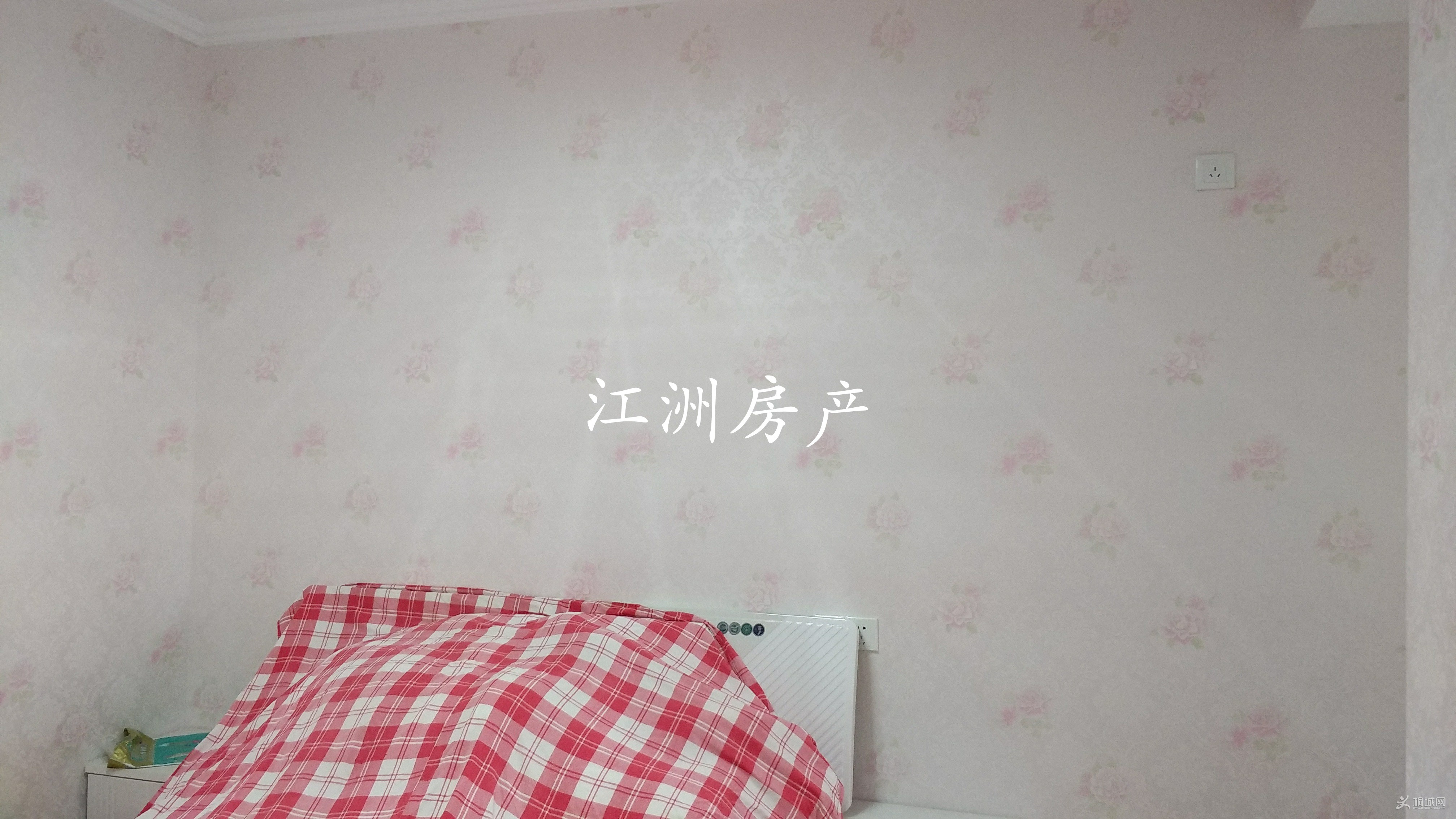 IMG_20190308_081755.JPG