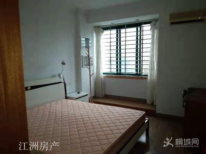 mmexport1552120543125.jpg