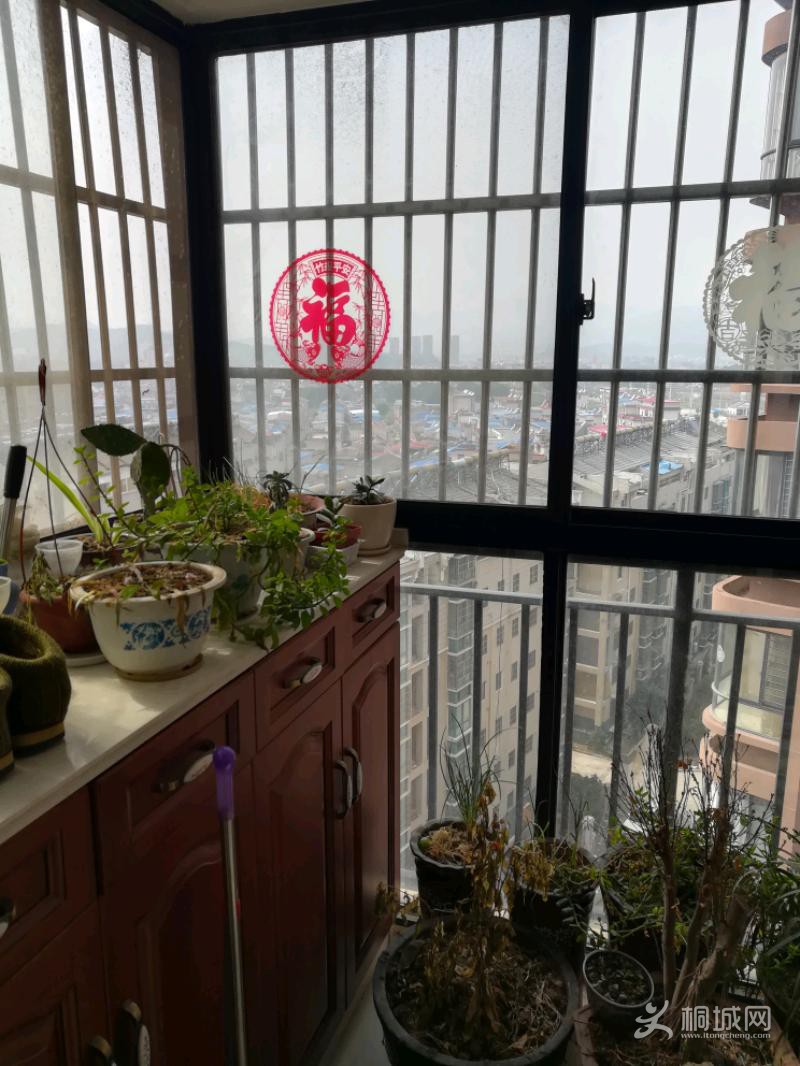 IMG_20190309_135639.jpeg