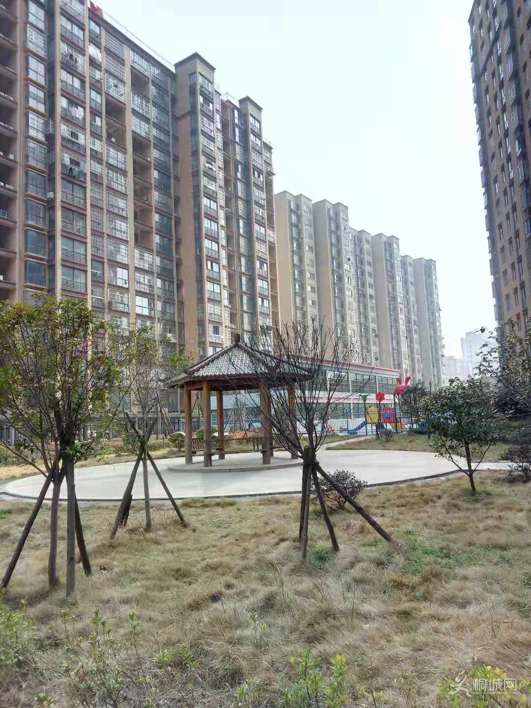 ΢��ͼƬ_20190311173342.jpg