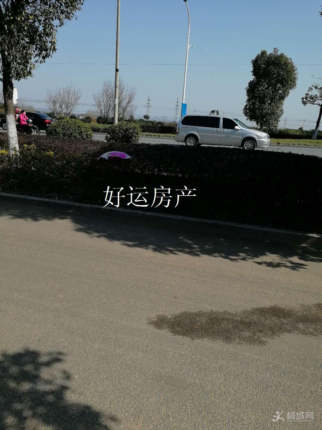 ΢��ͼƬ�༭_20190312154006.jpg