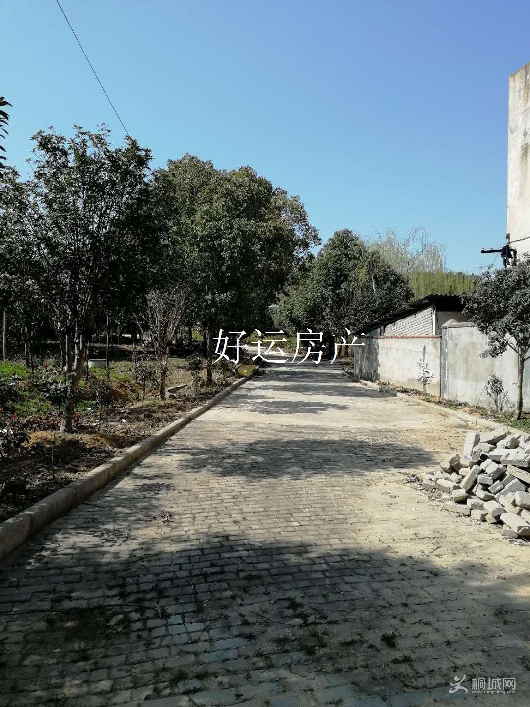 ΢��ͼƬ�༭_20190312153900.jpg