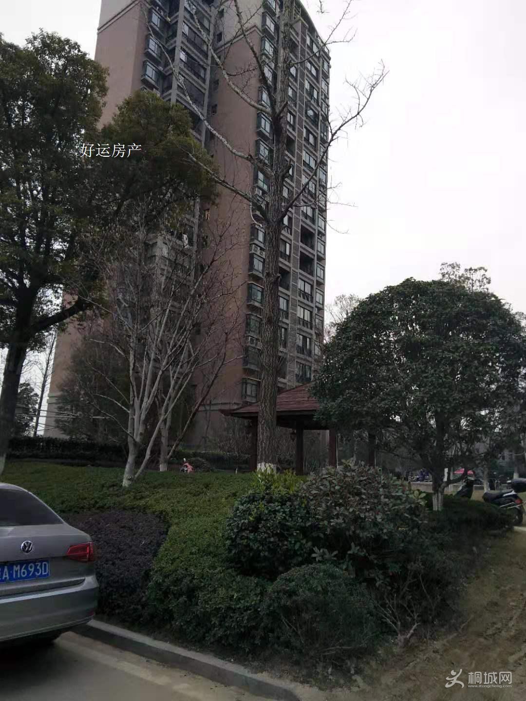 ΢��ͼƬ�༭_20190314101946.jpg