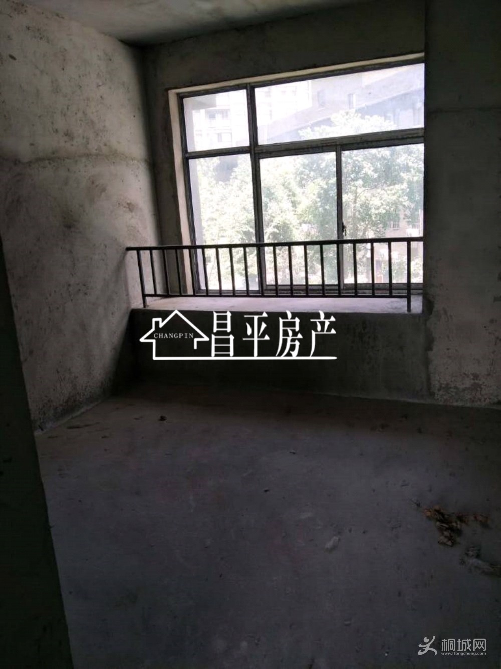 ZyjCJVtMH8OEKhWYAAAAAO_0Il4378.jpg
