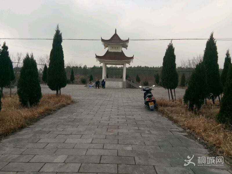 IMG_20190322_203430.jpeg