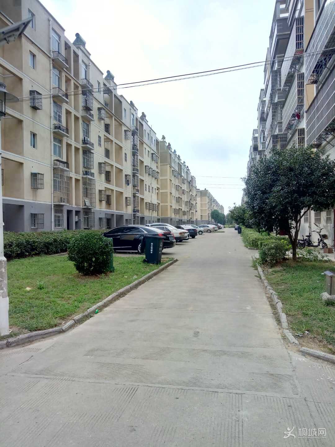 ΢��ͼƬ_20190401102203.jpg