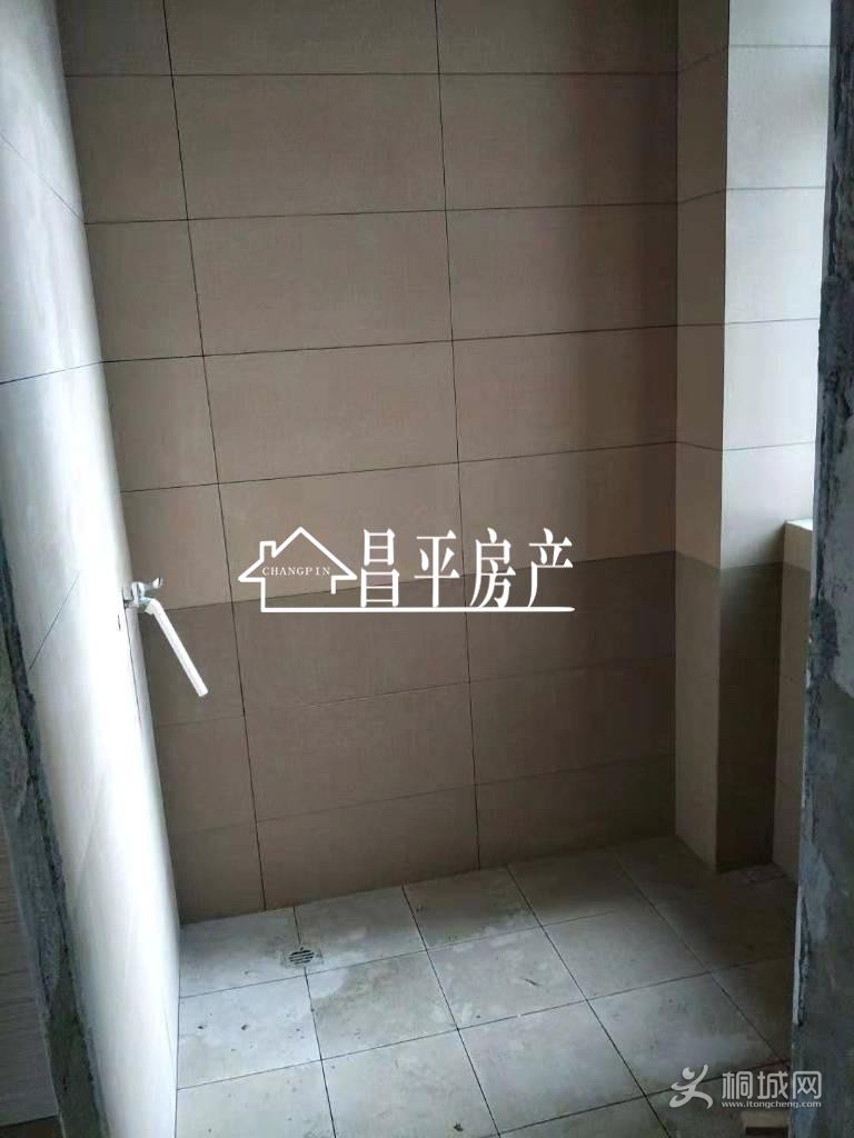 ZyjCJVvqcgGEIgVxAAAAANyOlTc317.jpg