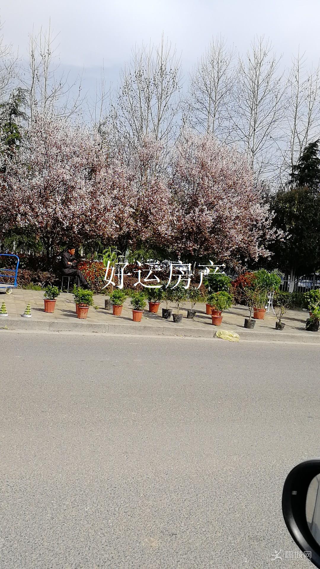 ΢��ͼƬ�༭_20190326103306.jpg