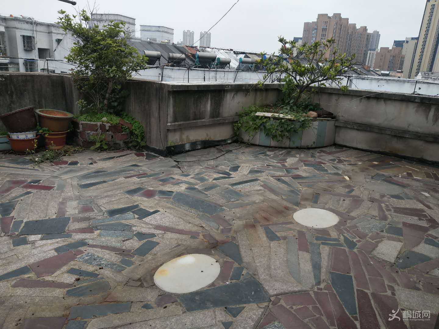 ΢��ͼƬ_20190414094233.jpg
