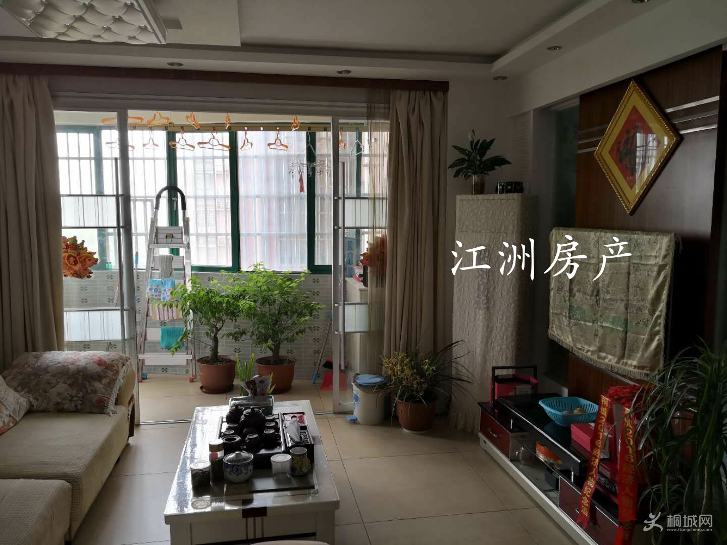 IMG_20190422_084152.JPG