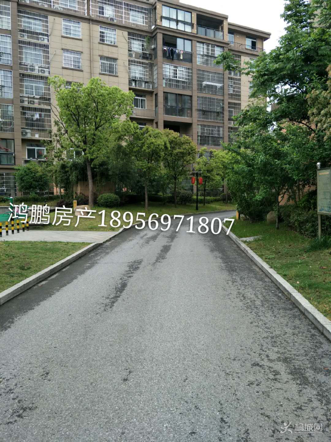 ǫ�������⾰010.jpg