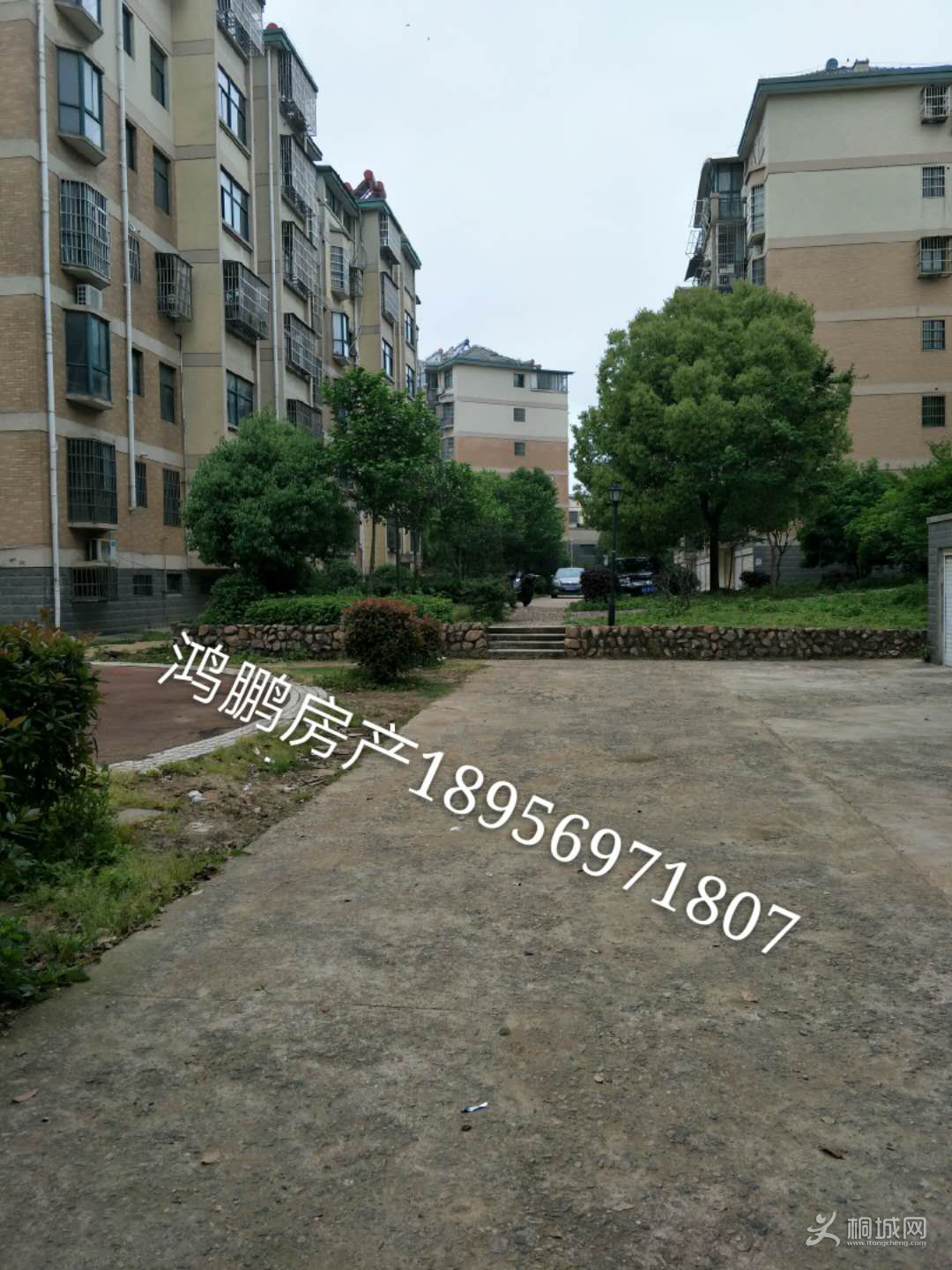 ͩ���˼��⾰ͼƬ01.jpg