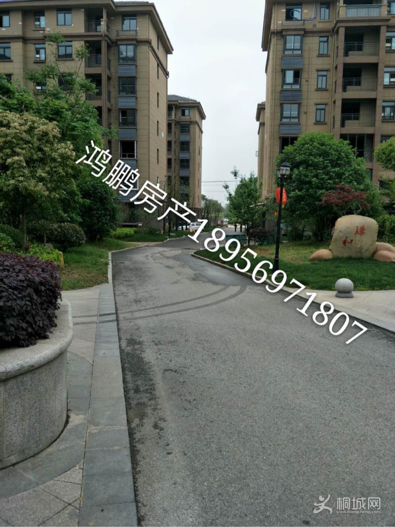 image_edit_6.png