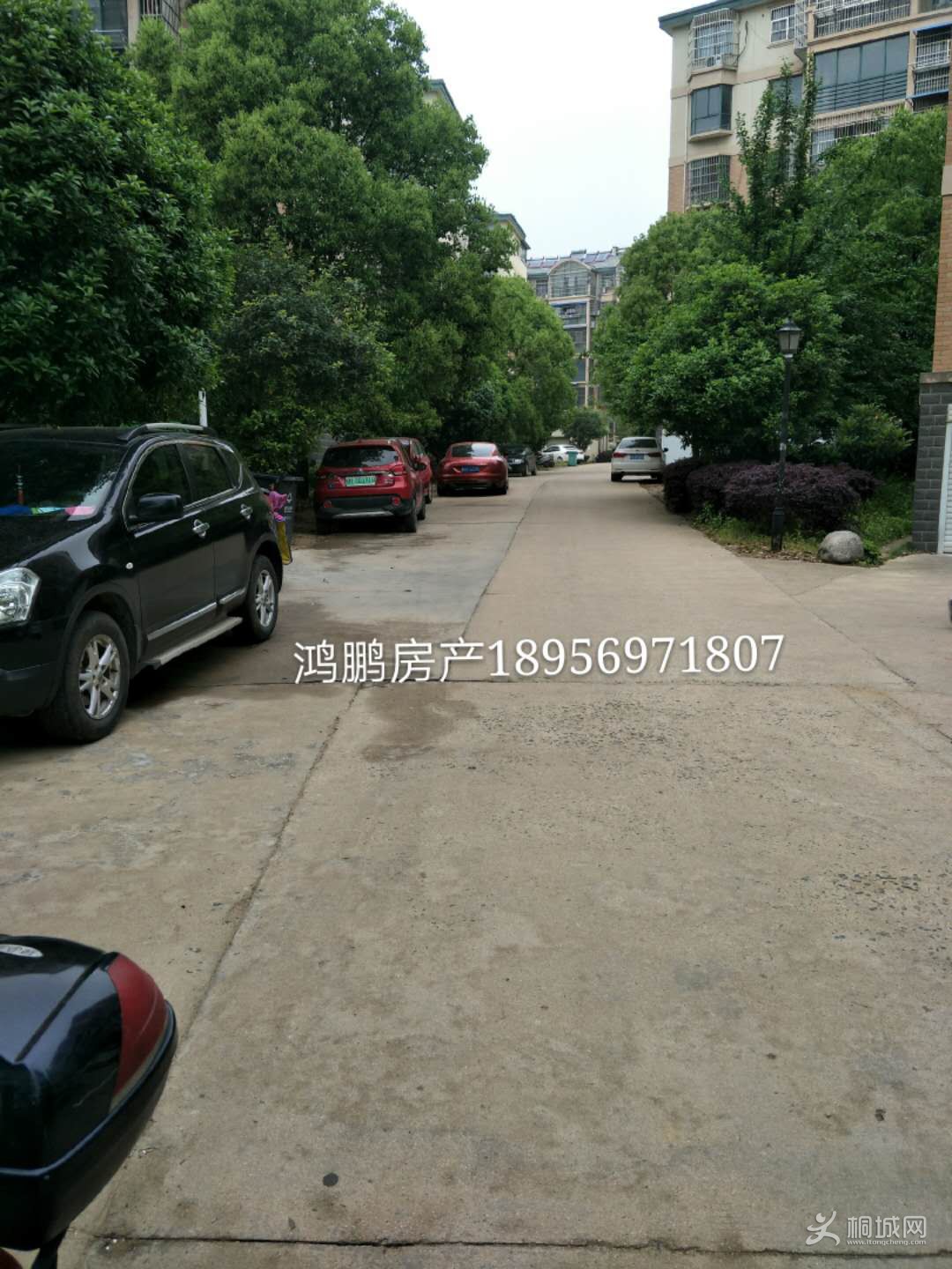 ͩ���˼�12-401ͼƬ09.jpg