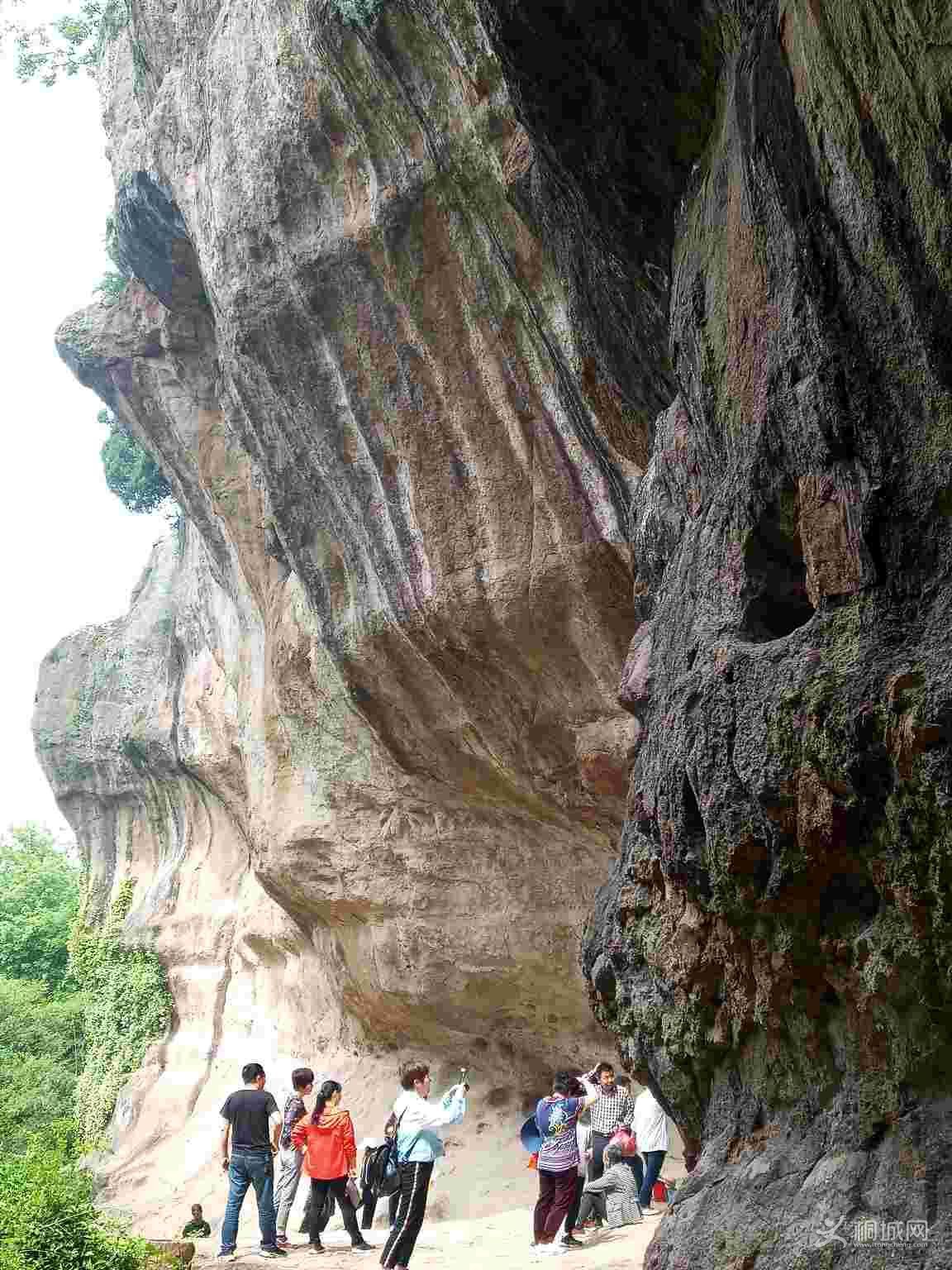 oRrHer8YBPy1.jpg