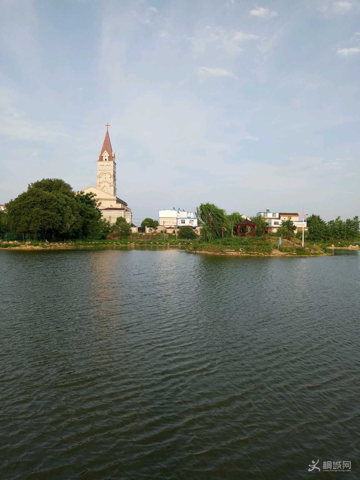 T8029DbLQR81.jpg