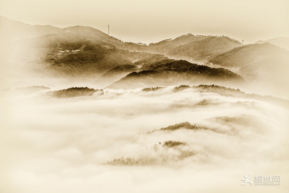 1W0A7181-1.jpg