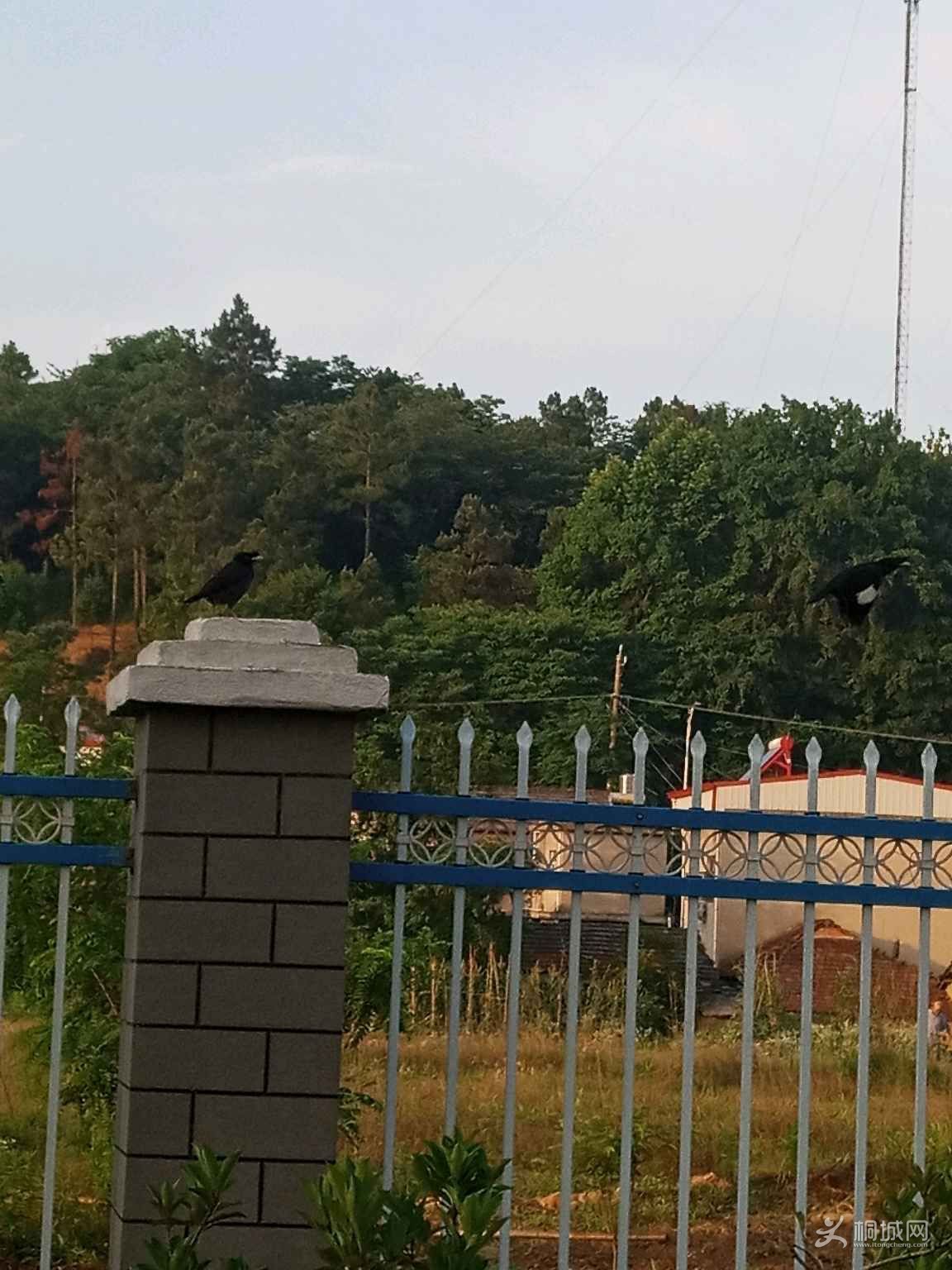 w9qpo9GOI2ie.jpg