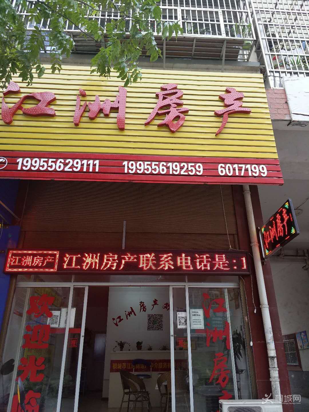 mmexport1533437489745.jpg