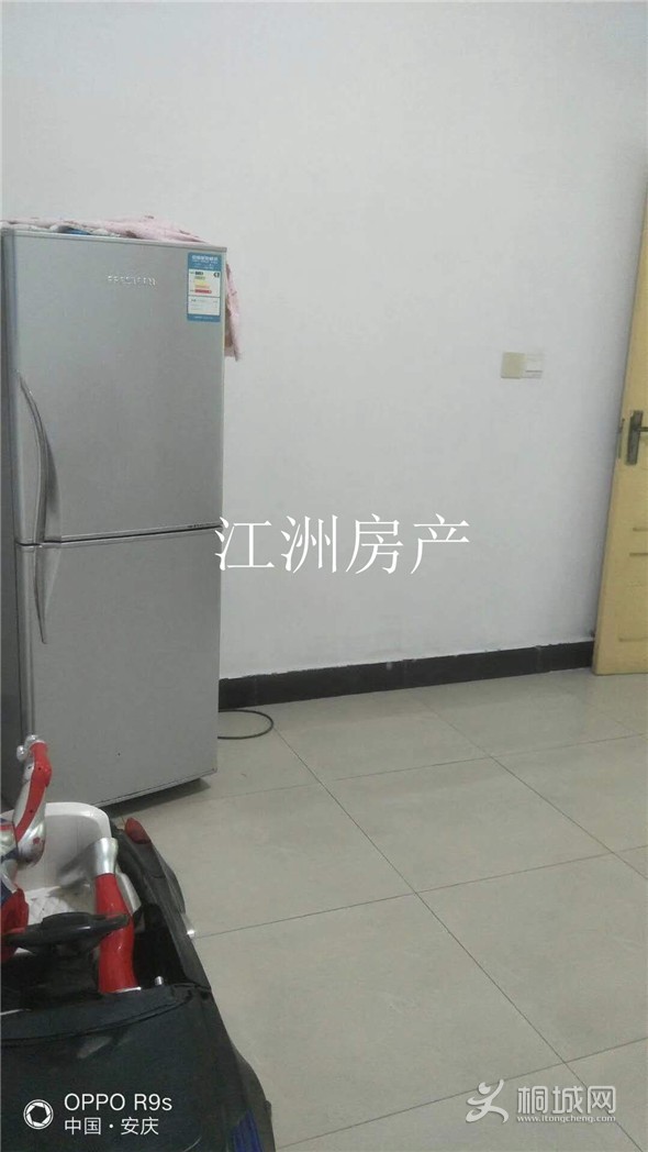 mmexport1561013399651.jpg