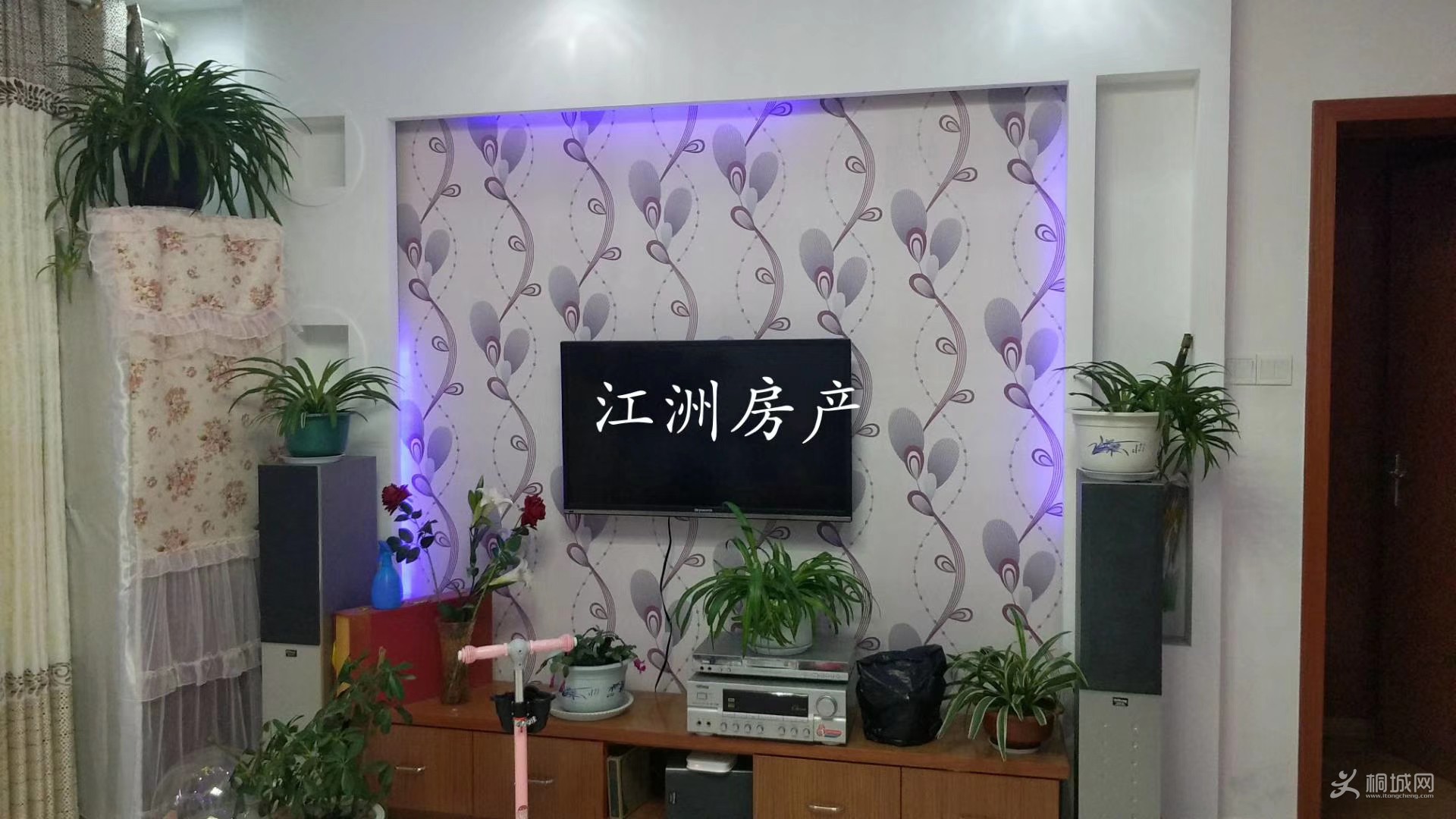 mmexport1563494503614.jpg