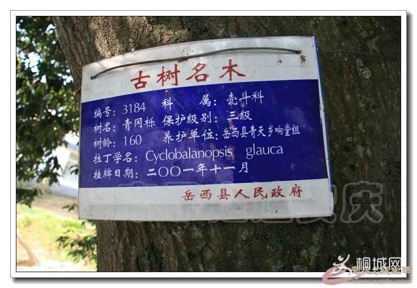 144902yw3p6pzlsgpeexst.jpg