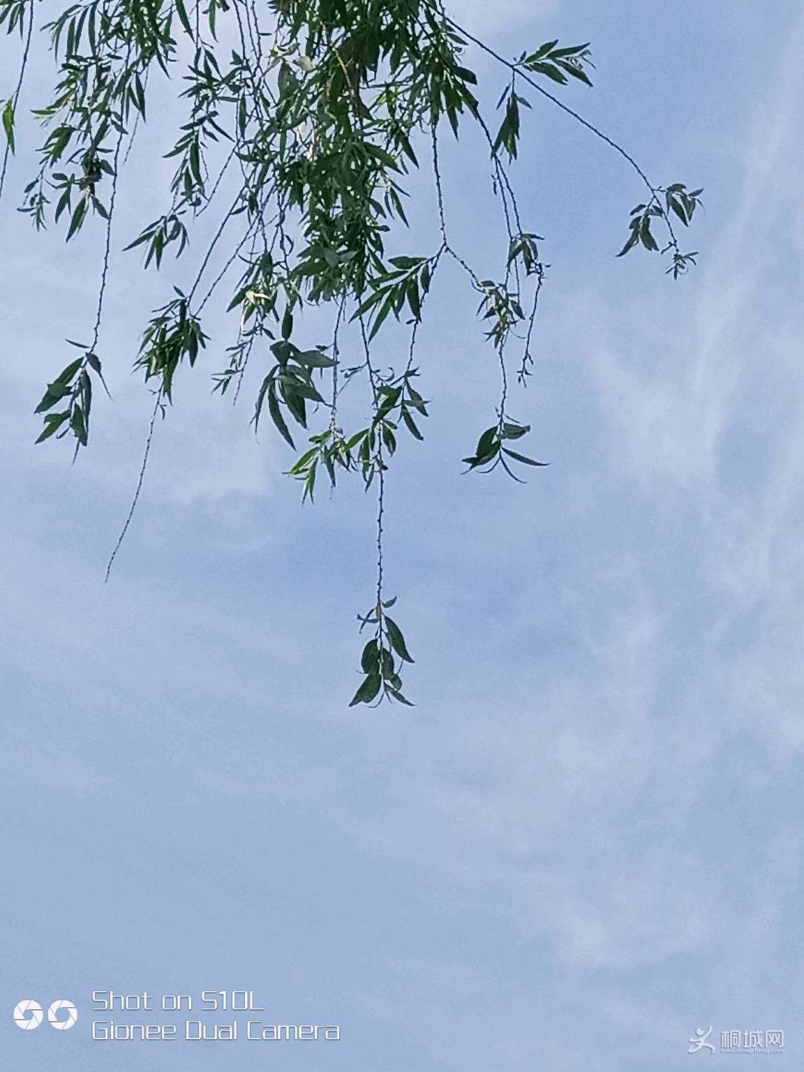 RXBIdB55CVi5.jpg