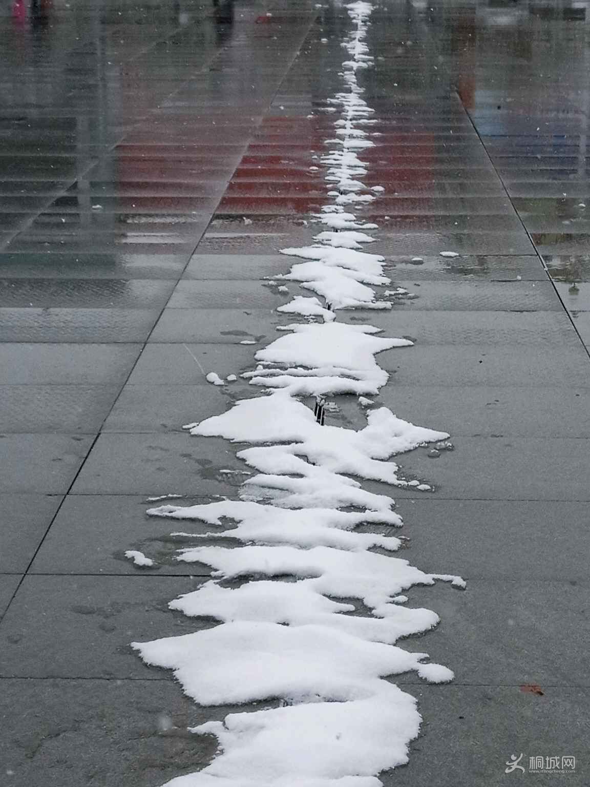 X8VqnxnkU7gN.jpg