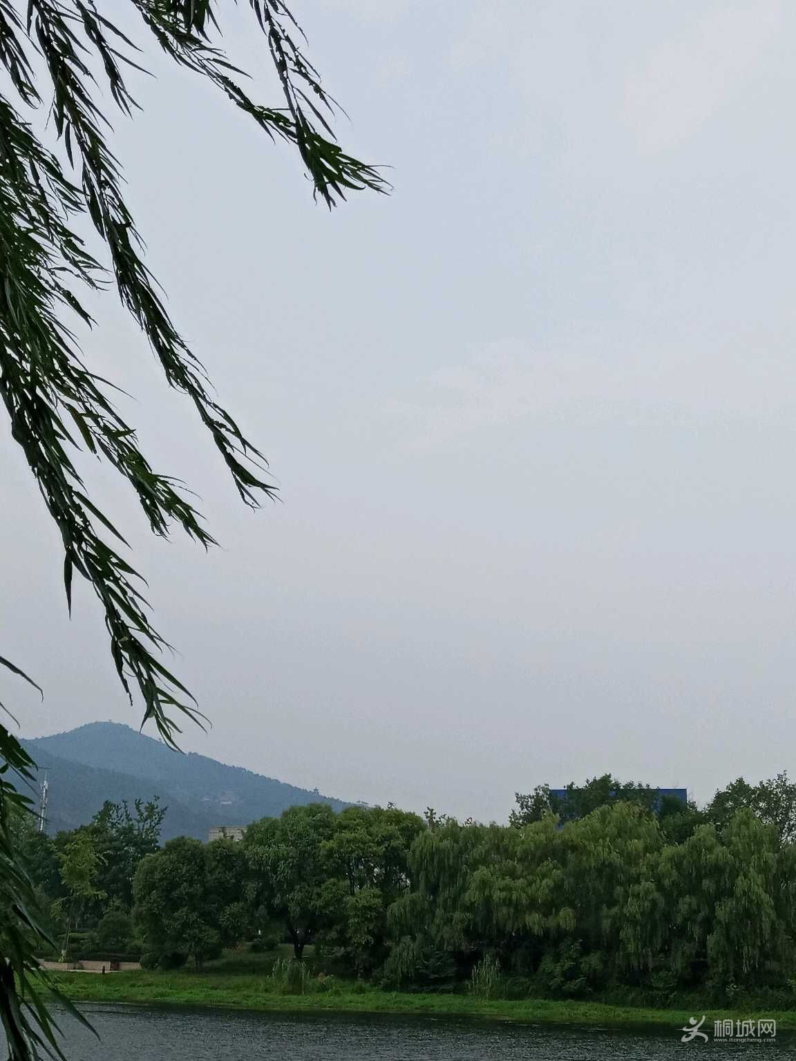 3C0n0vCV1v03.jpg
