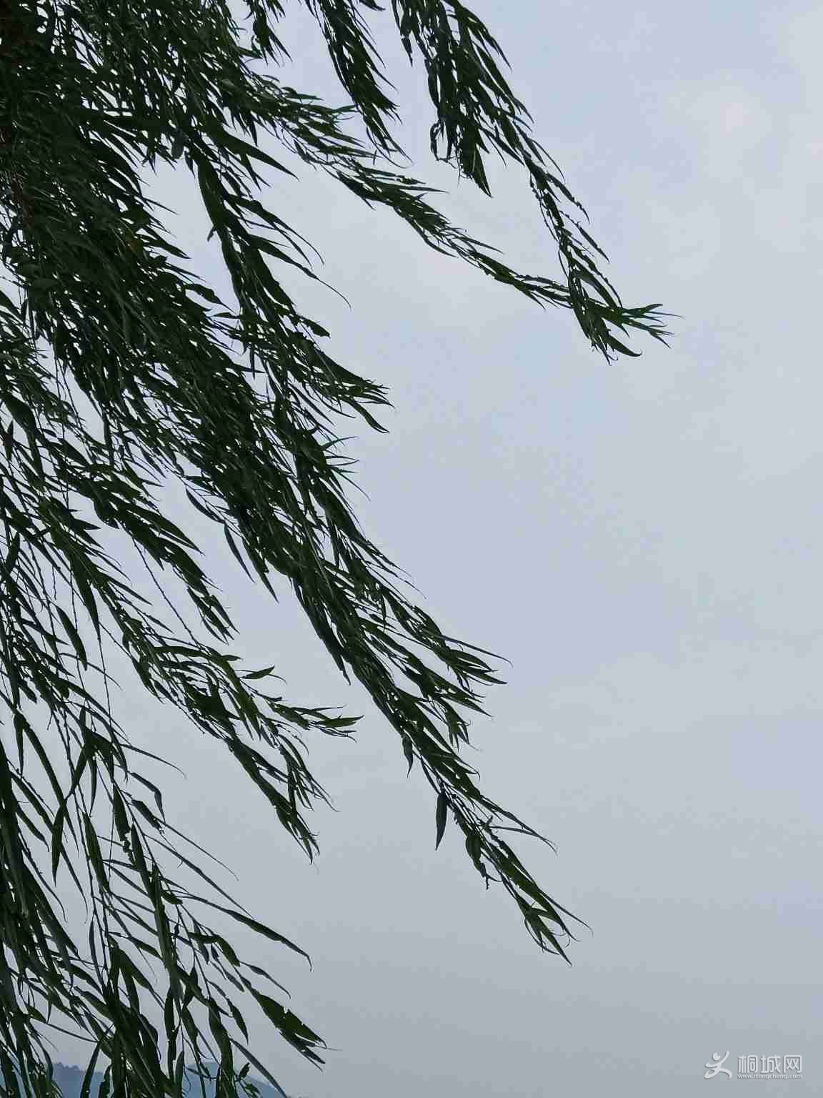 gpS2yZ5jOs88.jpg
