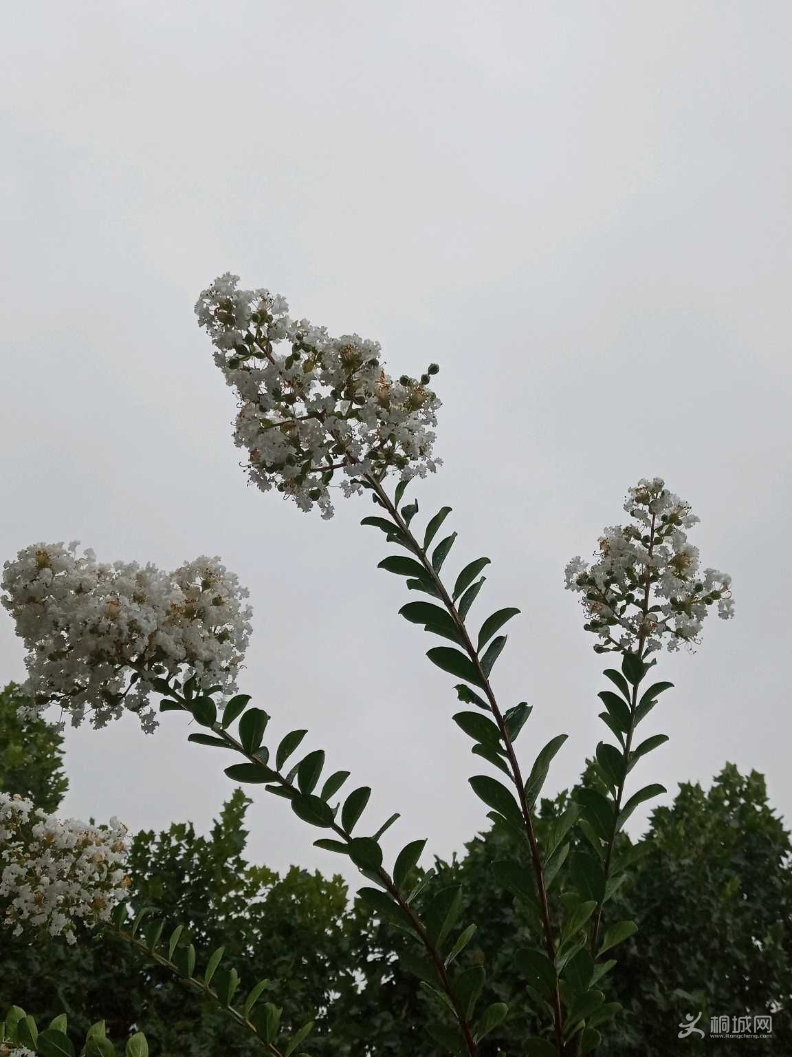 pBpvYiJmv5bV.jpg