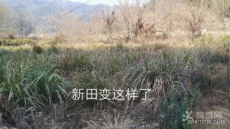 IMG_20190905_134909.jpg