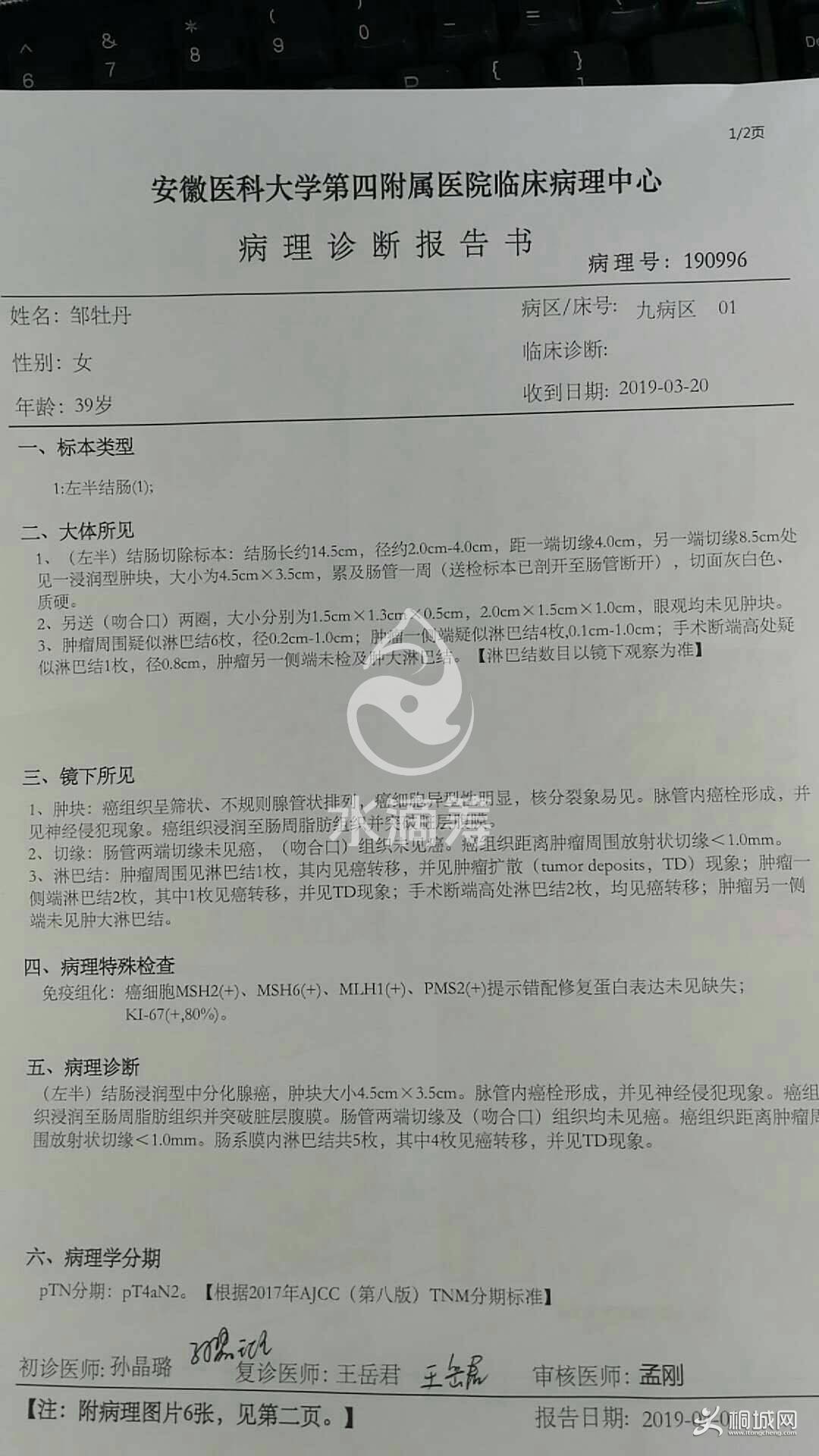 ad631ee3-e44a-474b-9ca8-d941834e0995!cf_mtr_1080.jpg
