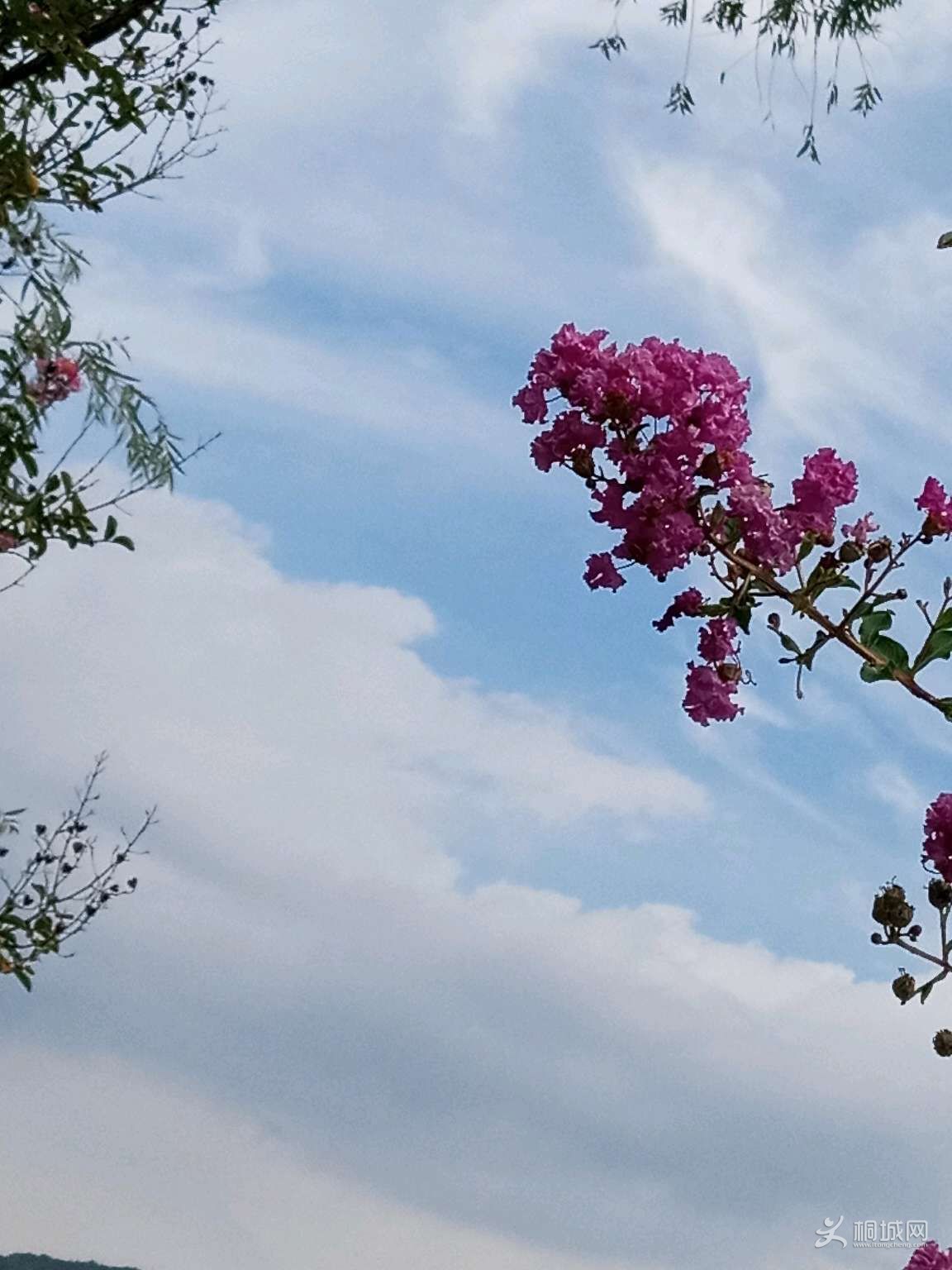 N0aIO4LN5iA9.jpg
