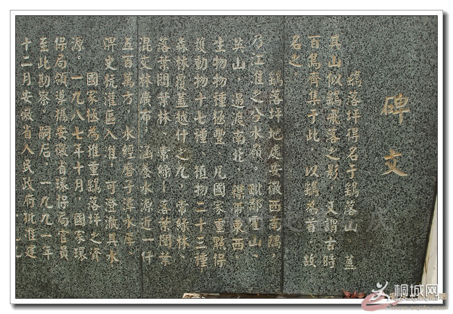 101740ipvvk50zgx7xxxkx.jpg