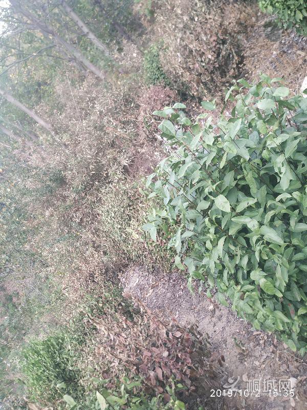 IMG_20191002_153509.jpeg
