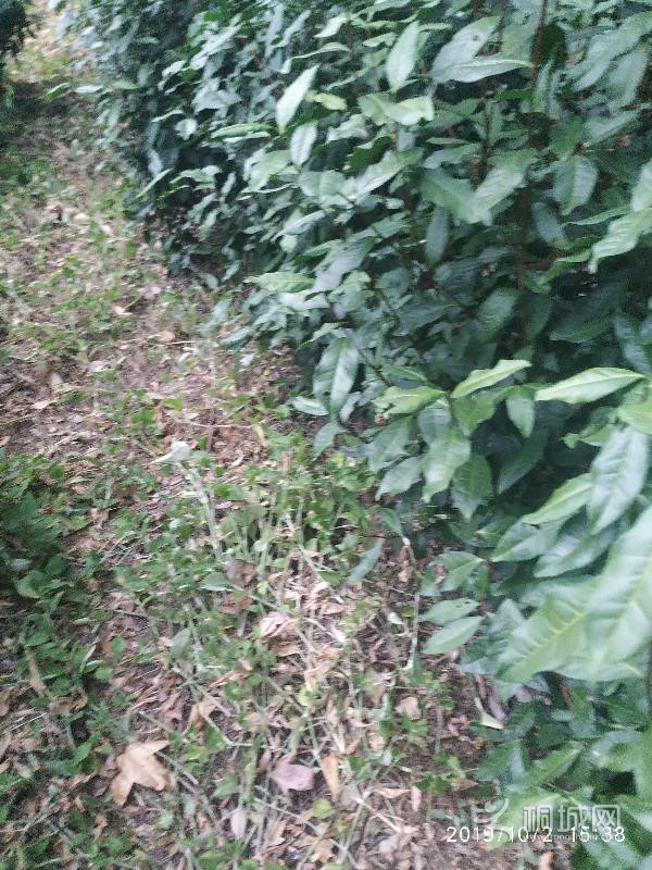 IMG_20191002_153855.jpeg