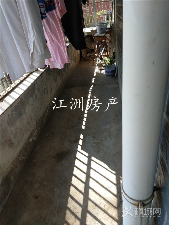 IMG_20191015_104159.jpg
