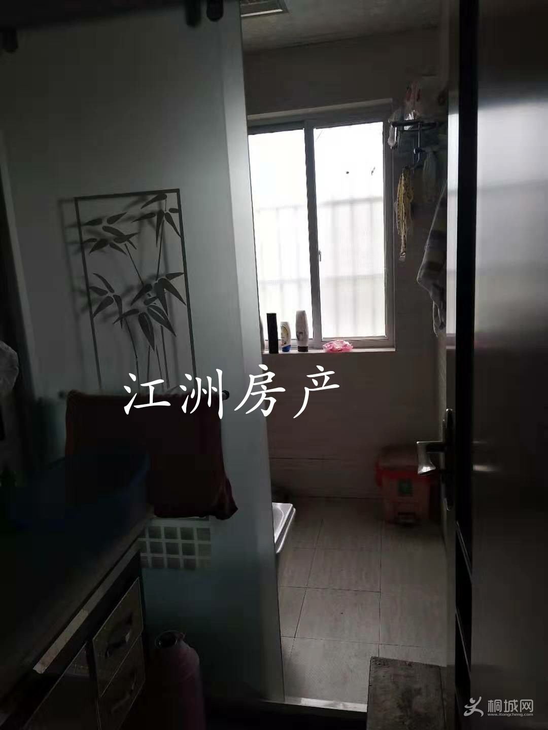IMG_20191112_145419.JPG