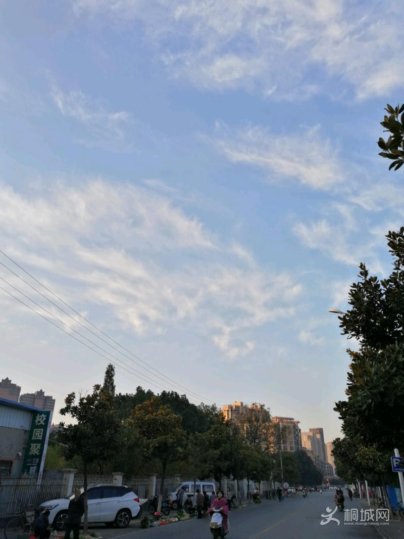 IMG_20191123_071322.jpeg