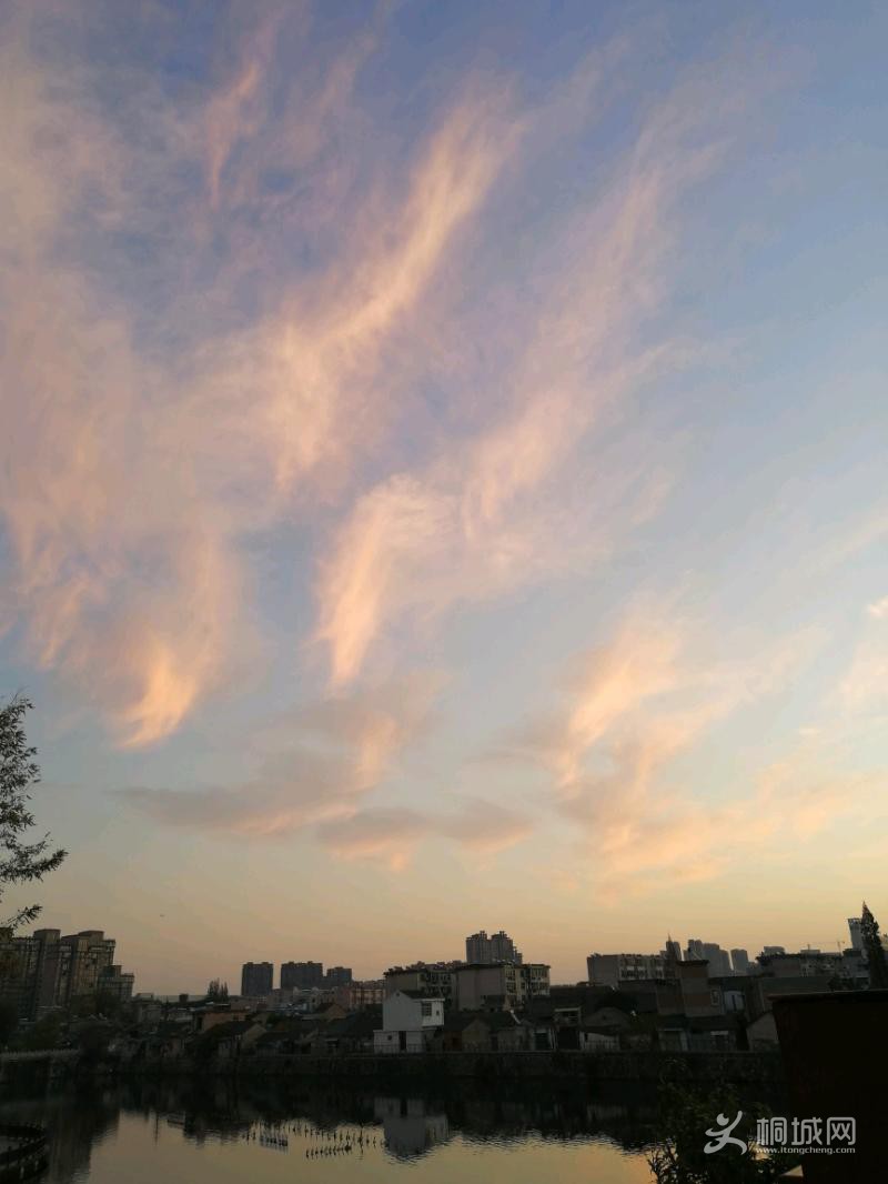 IMG_20191123_064234.jpeg