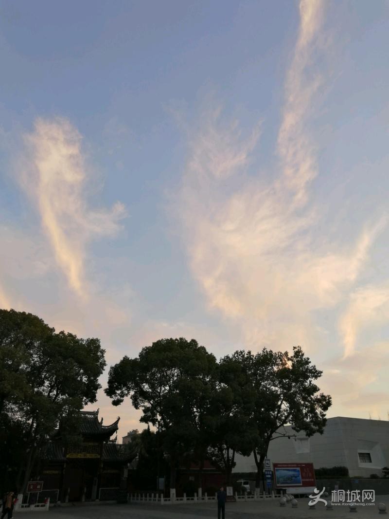 IMG_20191123_064750.jpeg