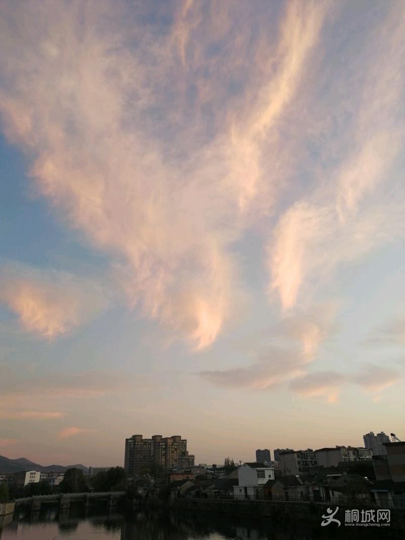 IMG_20191123_064134.jpeg