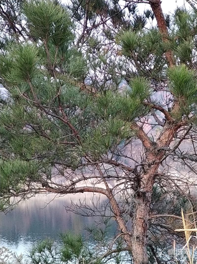 IMG_20191123_163640.jpeg