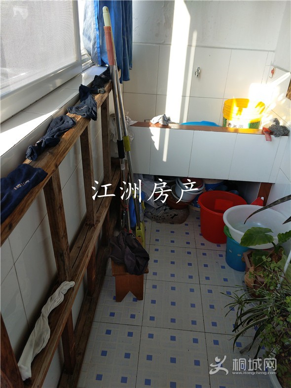 IMG_20191210_090815.jpg