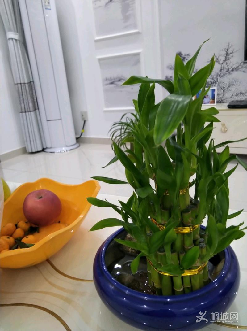 IMG_20191216_195153.jpeg
