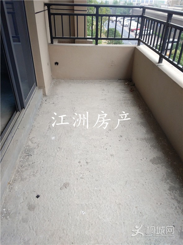 IMG_20191218_091519.jpg