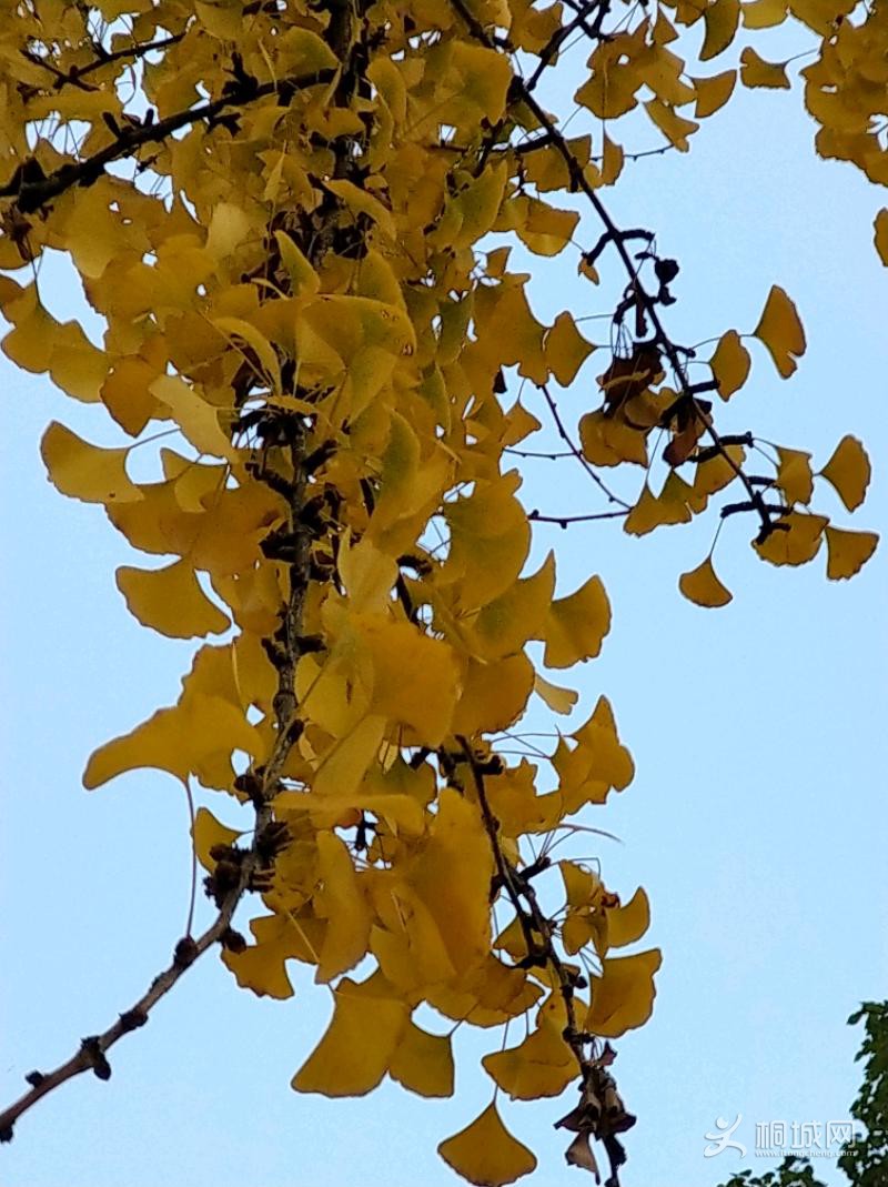 IMG_20191202_150153.jpeg